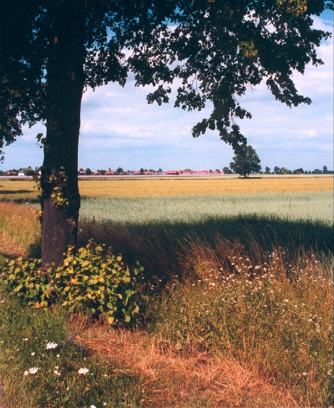 Blick auf Hiddestorf